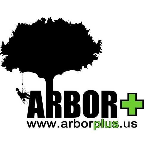 Expert Tree Trimming and Pruning Services from ArborPlus